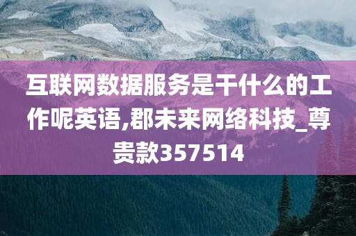 互联网数据服务是干什么的工作呢英语,郡未来网络科技_尊贵款357514