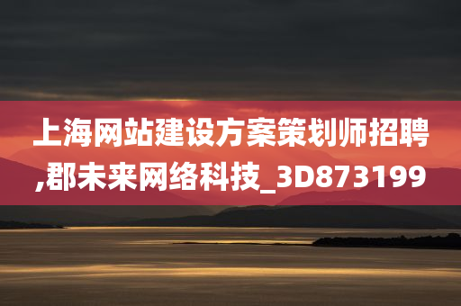 上海网站建设方案策划师招聘,郡未来网络科技_3D873199