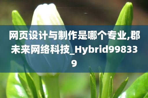 网页设计与制作是哪个专业,郡未来网络科技_Hybrid998339