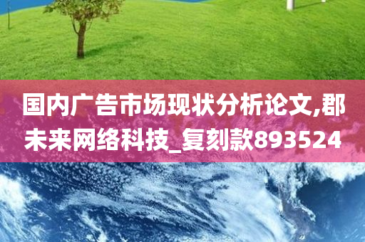 国内广告市场现状分析论文,郡未来网络科技_复刻款893524