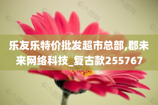 乐友乐特价批发超市总部,郡未来网络科技_复古款255767