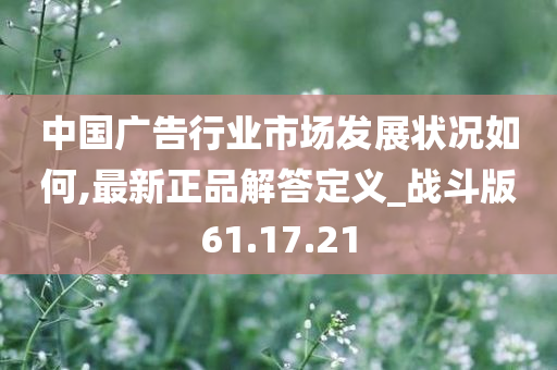 中国广告行业市场发展状况如何,最新正品解答定义_战斗版61.17.21