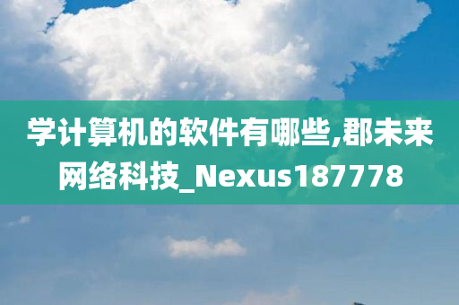 学计算机的软件有哪些,郡未来网络科技_Nexus187778