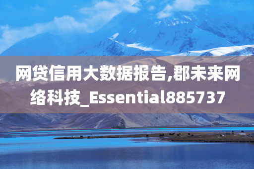 网贷信用大数据报告,郡未来网络科技_Essential885737