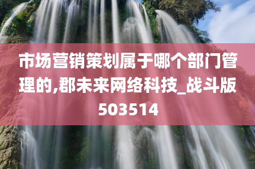 市场营销策划属于哪个部门管理的,郡未来网络科技_战斗版503514