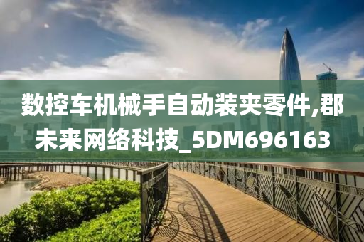 数控车机械手自动装夹零件,郡未来网络科技_5DM696163