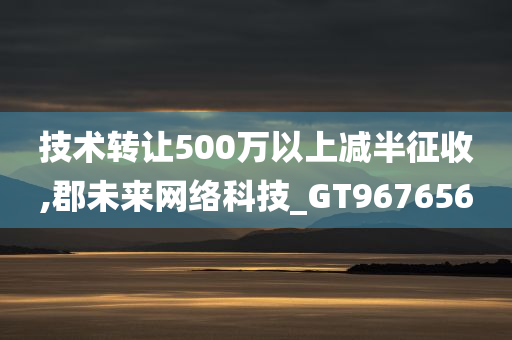 技术转让500万以上减半征收,郡未来网络科技_GT967656