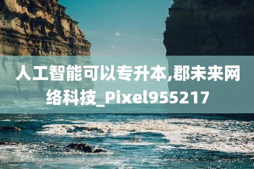 人工智能可以专升本,郡未来网络科技_Pixel955217