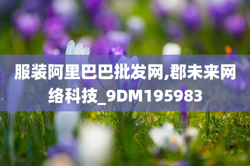 服装阿里巴巴批发网,郡未来网络科技_9DM195983