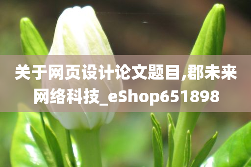 关于网页设计论文题目,郡未来网络科技_eShop651898