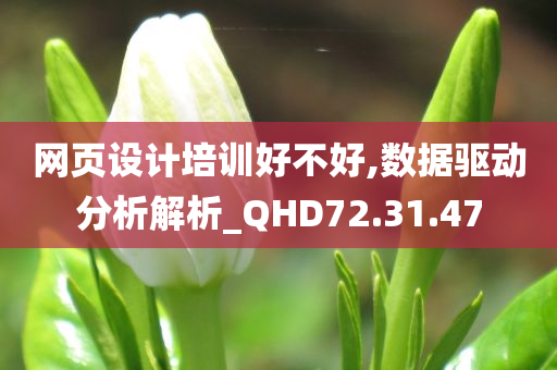 网页设计培训好不好,数据驱动分析解析_QHD72.31.47