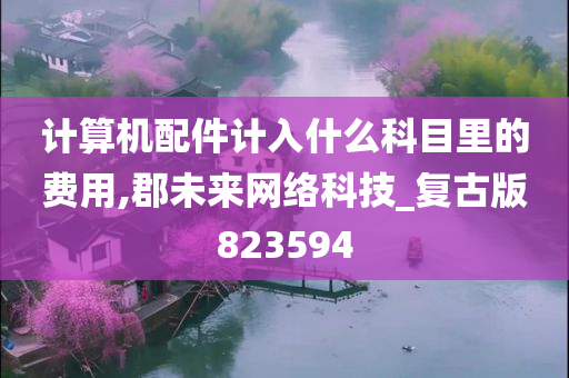 计算机配件计入什么科目里的费用,郡未来网络科技_复古版823594