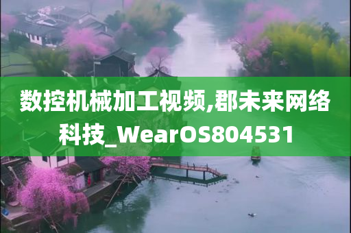 数控机械加工视频,郡未来网络科技_WearOS804531