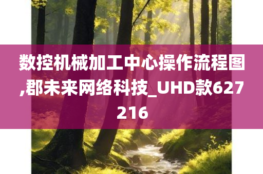 数控机械加工中心操作流程图,郡未来网络科技_UHD款627216