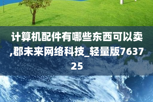 计算机配件有哪些东西可以卖,郡未来网络科技_轻量版763725