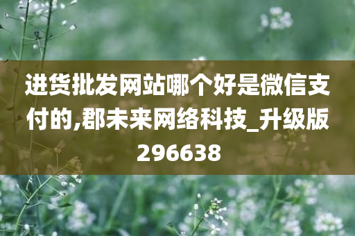 进货批发网站哪个好是微信支付的,郡未来网络科技_升级版296638