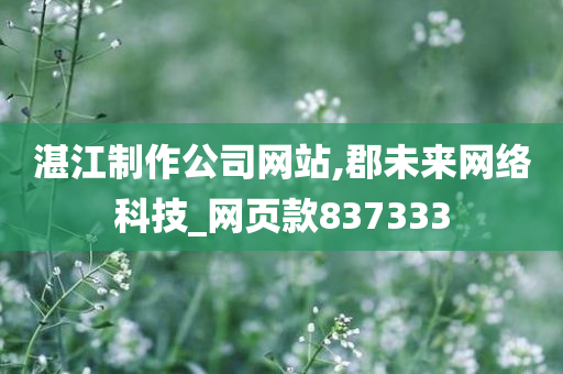 湛江制作公司网站,郡未来网络科技_网页款837333