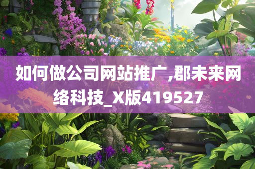 如何做公司网站推广,郡未来网络科技_X版419527