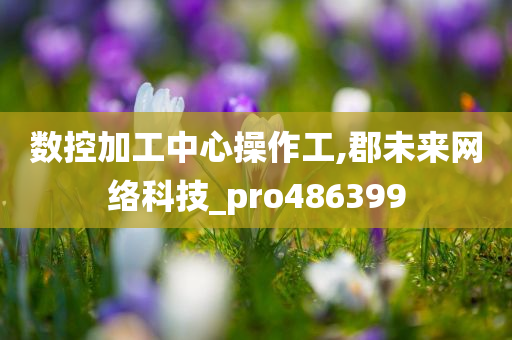 数控加工中心操作工,郡未来网络科技_pro486399