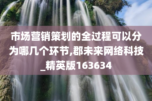 市场营销策划的全过程可以分为哪几个环节,郡未来网络科技_精英版163634