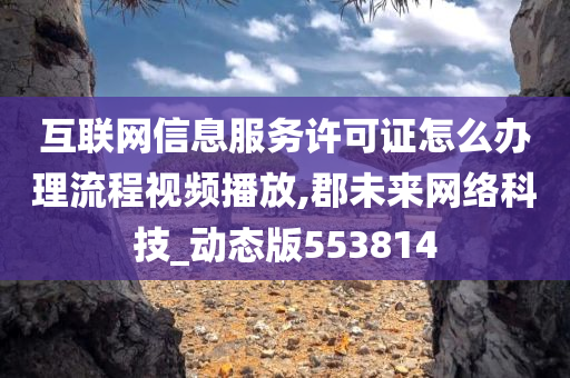 互联网信息服务许可证怎么办理流程视频播放,郡未来网络科技_动态版553814