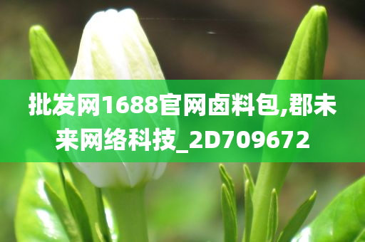 批发网1688官网卤料包,郡未来网络科技_2D709672