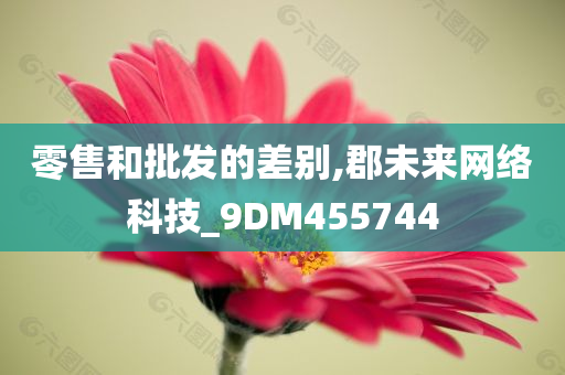 零售和批发的差别,郡未来网络科技_9DM455744