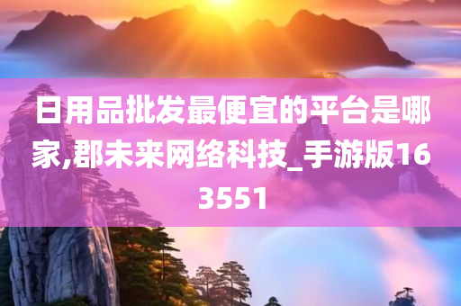 日用品批发最便宜的平台是哪家,郡未来网络科技_手游版163551