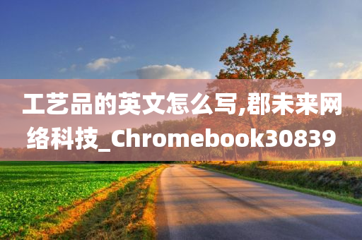 工艺品的英文怎么写,郡未来网络科技_Chromebook308390