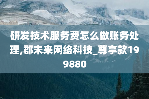 研发技术服务费怎么做账务处理,郡未来网络科技_尊享款199880