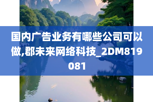 国内广告业务有哪些公司可以做,郡未来网络科技_2DM819081