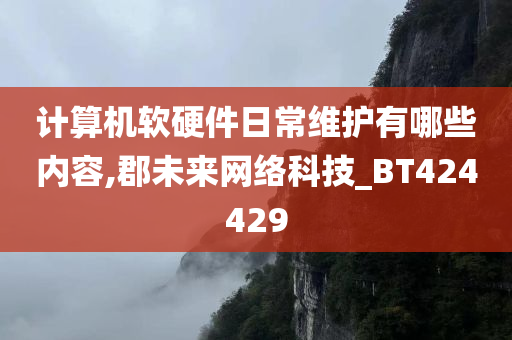 计算机软硬件日常维护有哪些内容,郡未来网络科技_BT424429