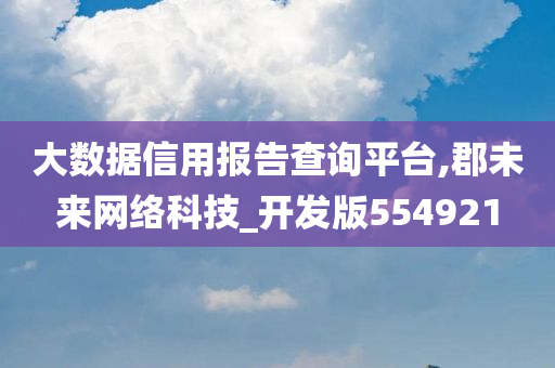 大数据信用报告查询平台,郡未来网络科技_开发版554921