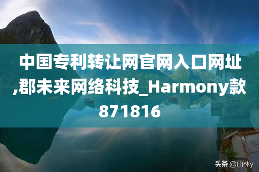 中国专利转让网官网入口网址,郡未来网络科技_Harmony款871816