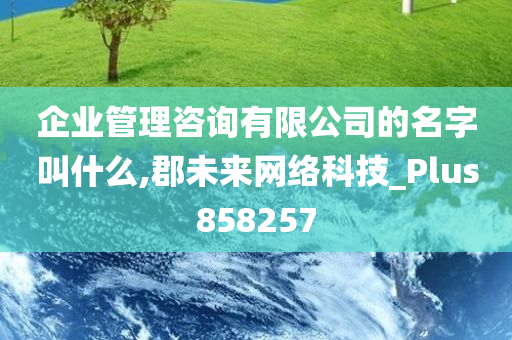 企业管理咨询有限公司的名字叫什么,郡未来网络科技_Plus858257