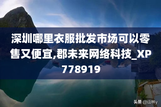 深圳哪里衣服批发市场可以零售又便宜,郡未来网络科技_XP778919