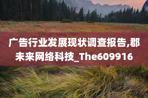 广告行业发展现状调查报告,郡未来网络科技_The609916