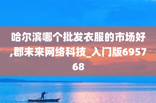 哈尔滨哪个批发衣服的市场好,郡未来网络科技_入门版695768