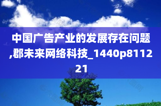 中国广告产业的发展存在问题,郡未来网络科技_1440p811221