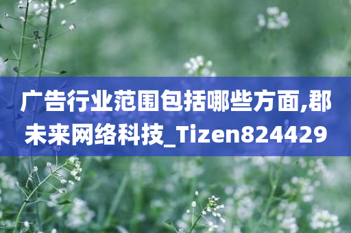 广告行业范围包括哪些方面,郡未来网络科技_Tizen824429