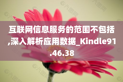 互联网信息服务的范围不包括,深入解析应用数据_Kindle91.46.38