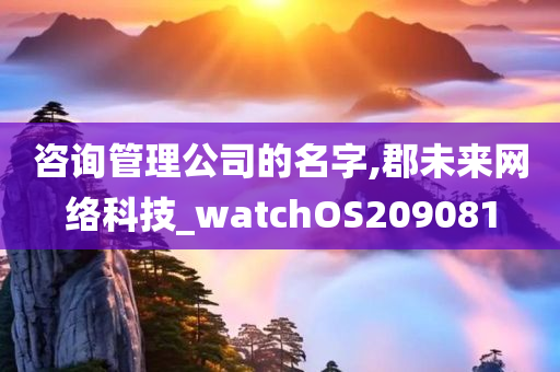 咨询管理公司的名字,郡未来网络科技_watchOS209081