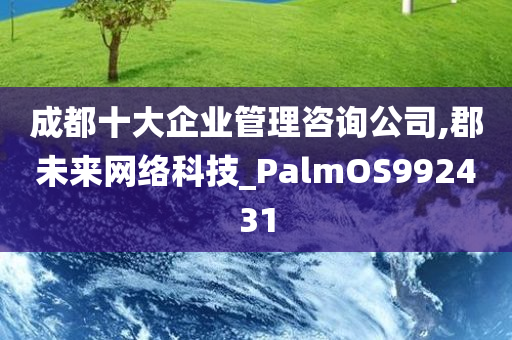 成都十大企业管理咨询公司,郡未来网络科技_PalmOS992431