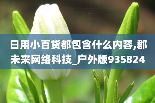 日用小百货都包含什么内容,郡未来网络科技_户外版935824