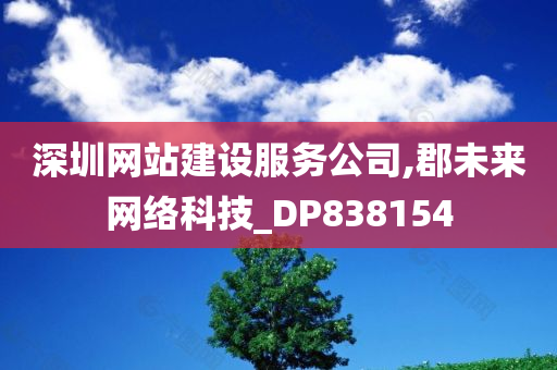 深圳网站建设服务公司,郡未来网络科技_DP838154