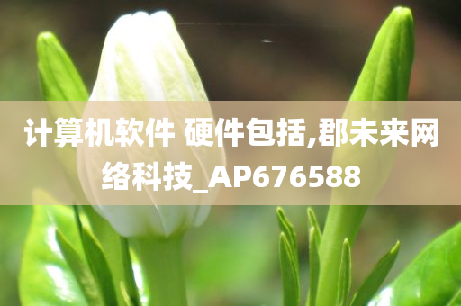 计算机软件 硬件包括,郡未来网络科技_AP676588