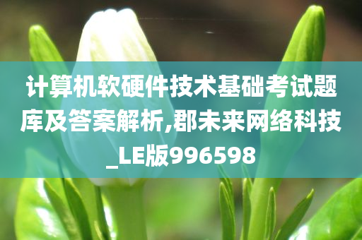 计算机软硬件技术基础考试题库及答案解析,郡未来网络科技_LE版996598