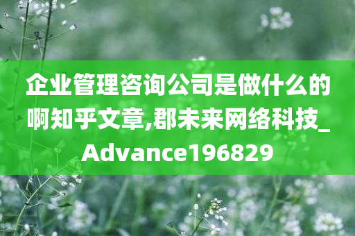 企业管理咨询公司是做什么的啊知乎文章,郡未来网络科技_Advance196829