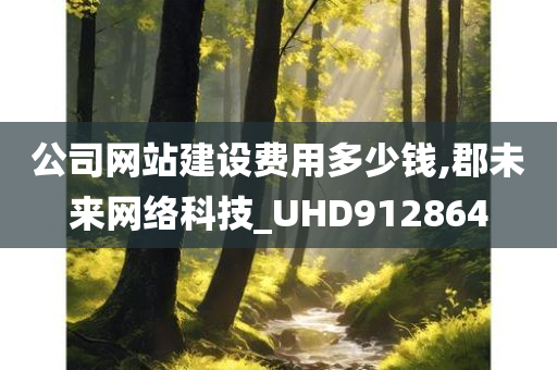 公司网站建设费用多少钱,郡未来网络科技_UHD912864