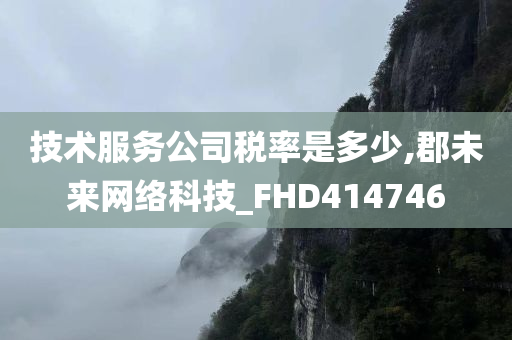 技术服务公司税率是多少,郡未来网络科技_FHD414746